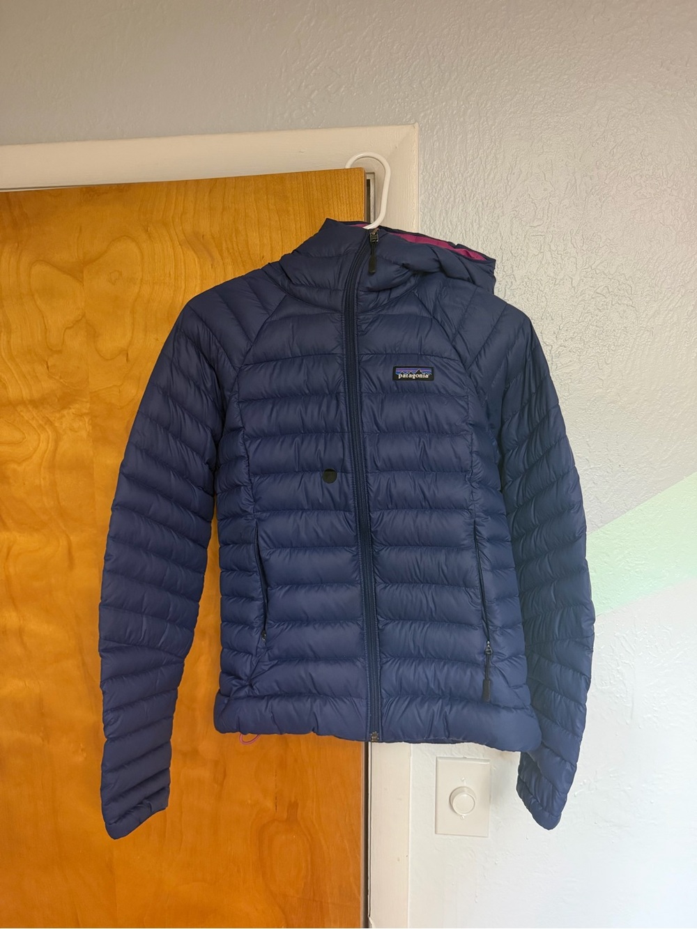 Patagonia Down Sweater Hoody jacket